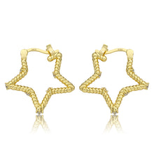 Medium Size Rope Star Hoop Earring with CZ's